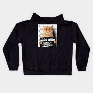 2024 Bad Cat I Ain't Playing Kids Hoodie